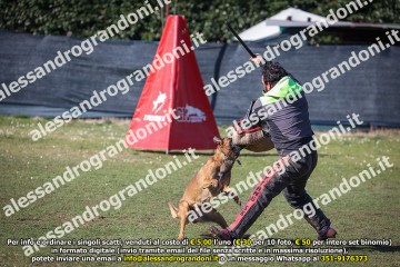 496A2077.jpg