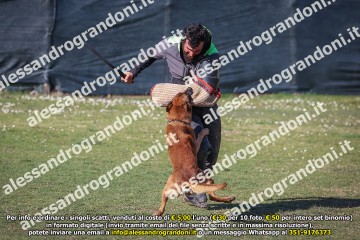 496A2087.jpg