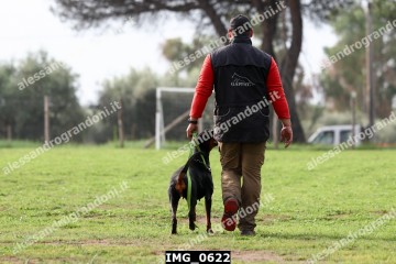IMG_0622.jpg