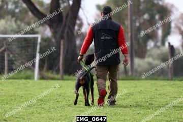 IMG_0647.jpg