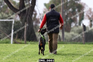 IMG_0661.jpg
