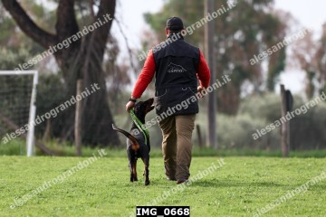 IMG_0668.jpg