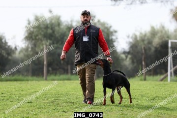 IMG_0743.jpg