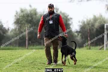 IMG_0747.jpg
