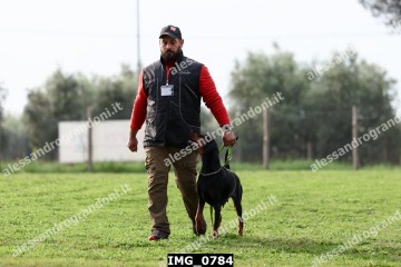 IMG_0784.jpg