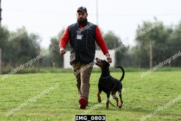 IMG_0803.jpg