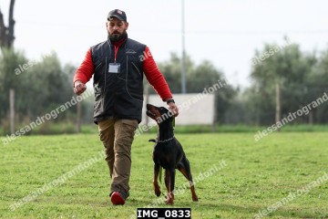 IMG_0833.jpg