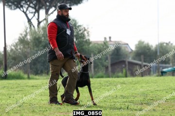 IMG_0850.jpg