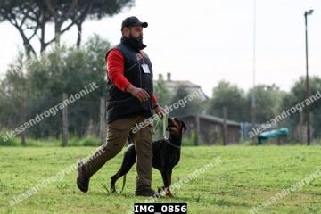 IMG_0856.jpg
