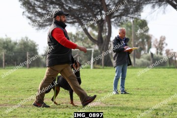 IMG_0897.jpg