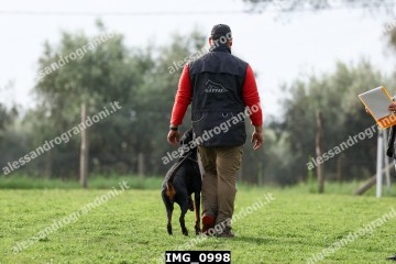 IMG_0998.jpg