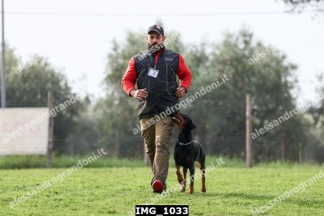 IMG_1033.jpg
