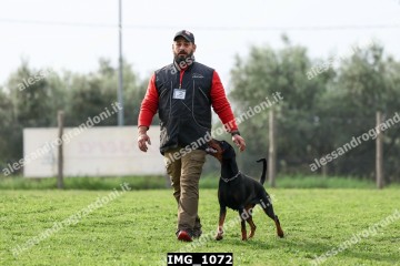 IMG_1072.jpg
