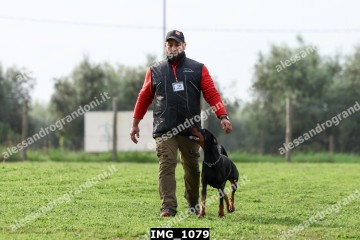 IMG_1079.jpg