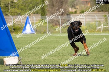 IMG_0113.jpg
