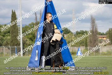 IMG_0117.jpg