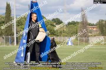 IMG_0125.jpg