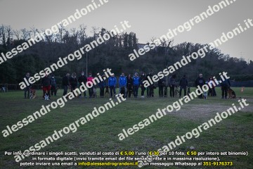 496A2290.jpg