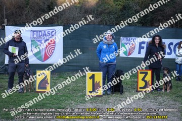 496A2307.jpg