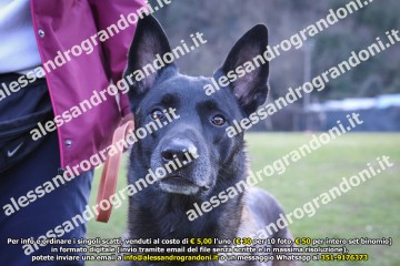 496A2361.jpg