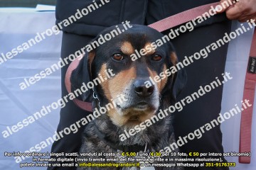 496A2367.jpg