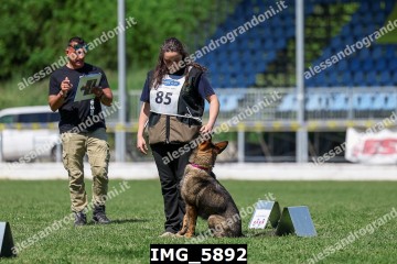 IMG_5892.jpg