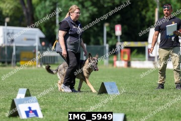 IMG_5949.jpg