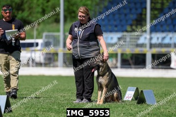 IMG_5953.jpg