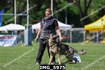 IMG_5975.jpg
