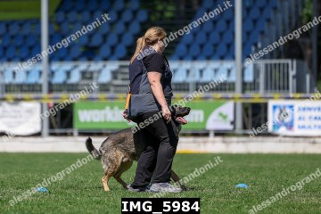 IMG_5984.jpg