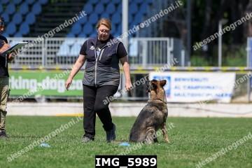 IMG_5989.jpg