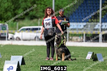 IMG_6012.jpg