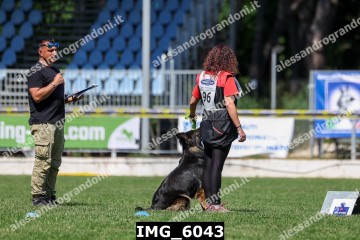 IMG_6043.jpg