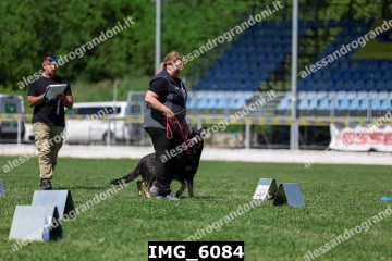 IMG_6084.jpg