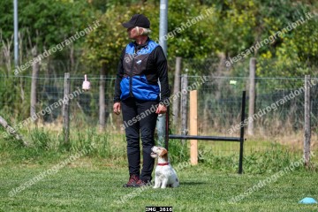 IMG_2616.jpg