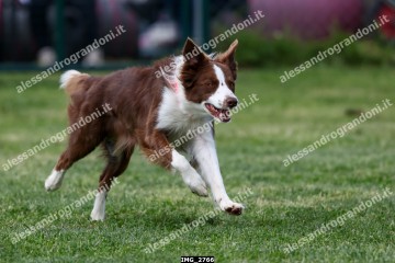 IMG_2766.jpg