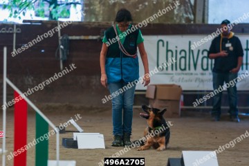 496A2705.jpg