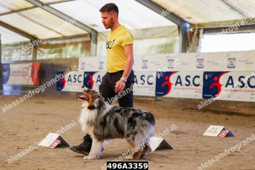 496A3359.jpg