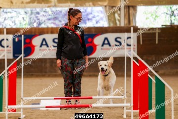 496A4172.jpg