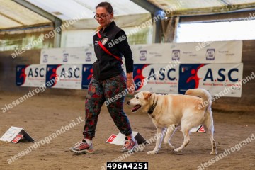 496A4251.jpg