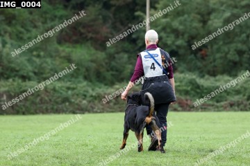 IMG_0004.jpg