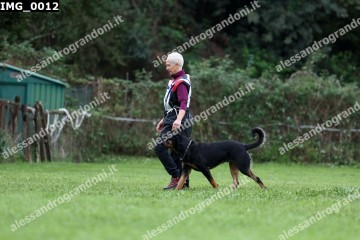 IMG_0012.jpg