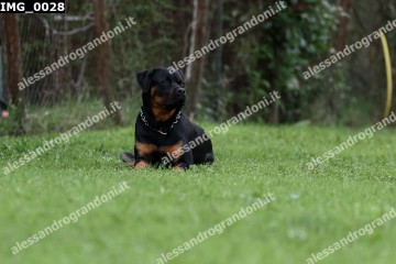 IMG_0028.jpg
