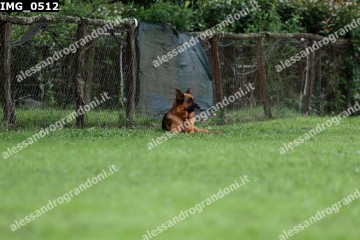 IMG_0512.jpg