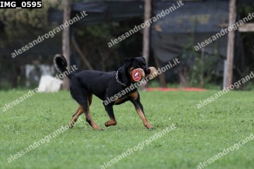 IMG_0595.jpg
