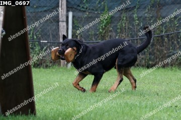 IMG_0697.jpg
