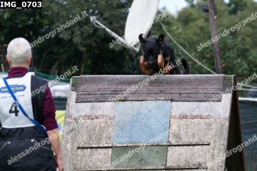 IMG_0703.jpg