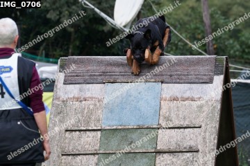 IMG_0706.jpg
