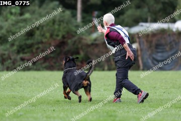 IMG_0775.jpg