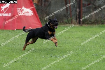 IMG_2876.jpg
